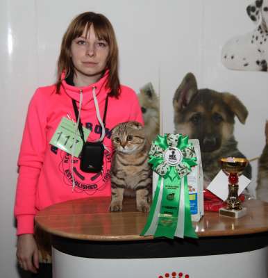 Выставка кошек 'Осенний Кэт-Салон' 30 ноября-1 декабря 2013., монопородные шоу 3185